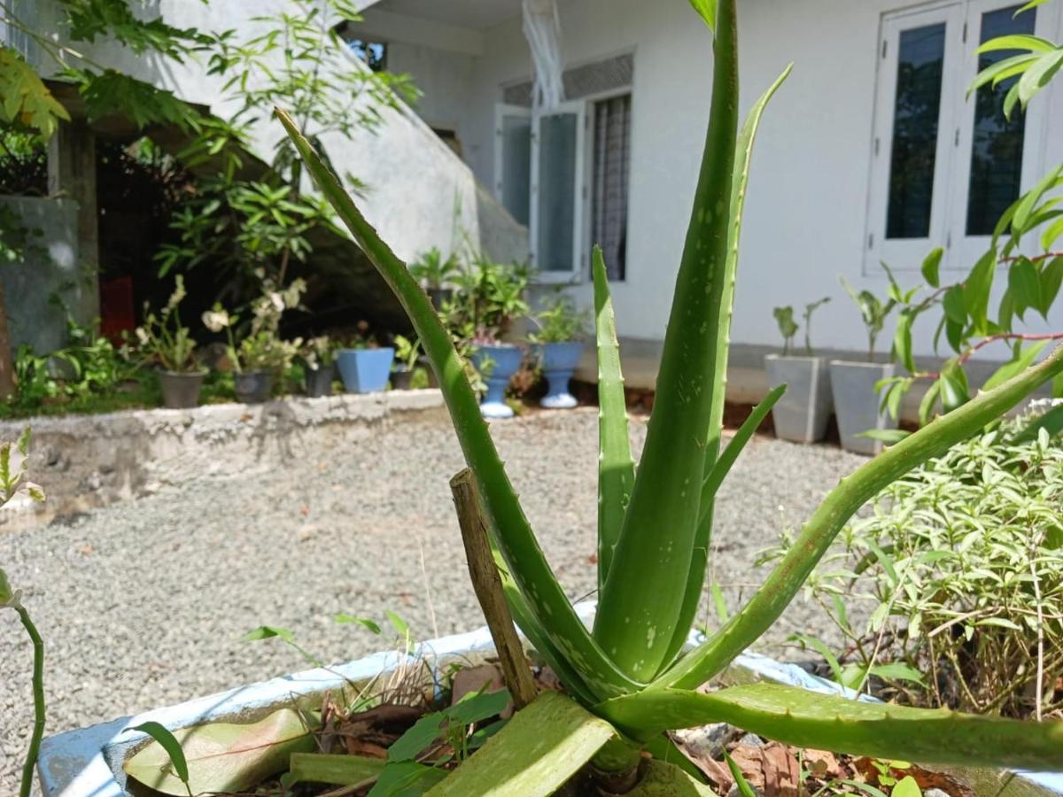 Villa Diamond Nest Unawatuna Esterno foto